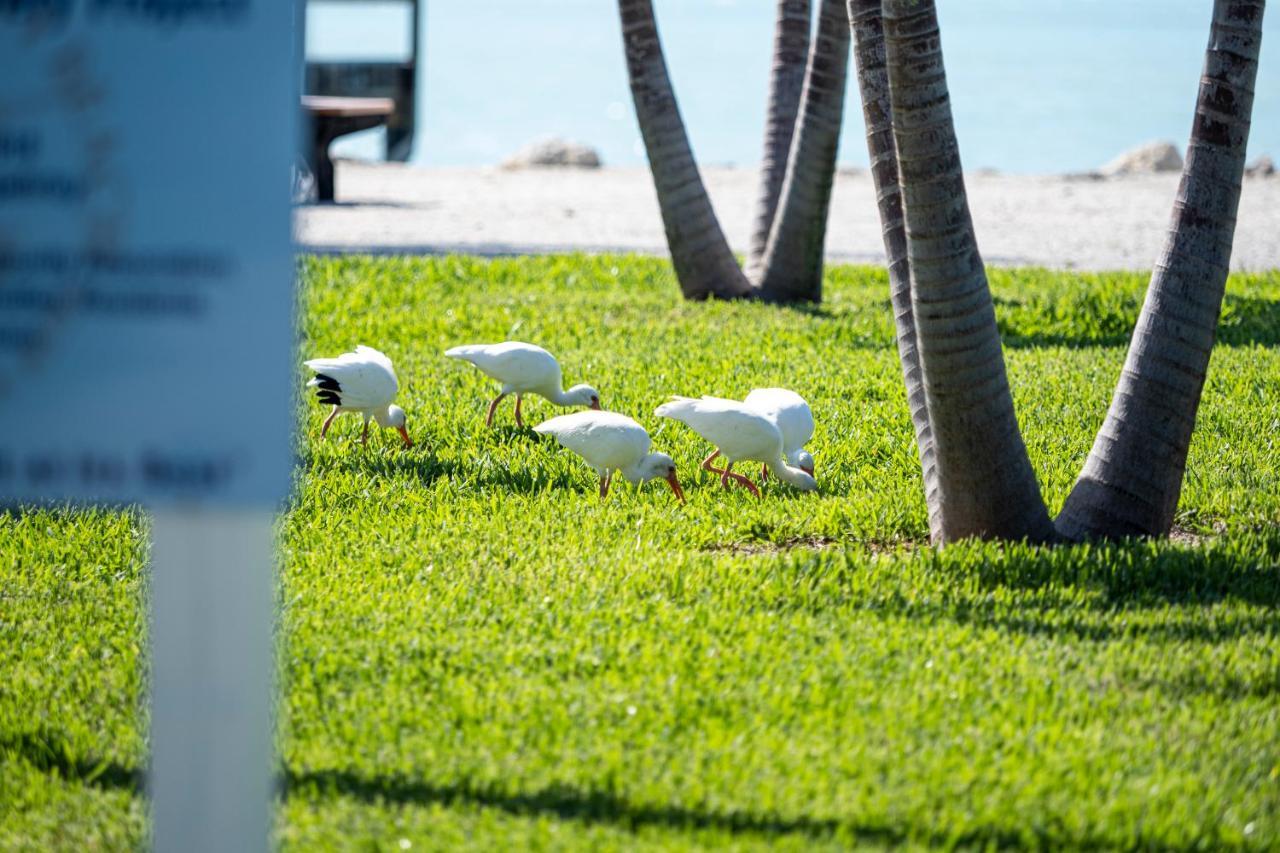 Newly Renovated 3Br2Ba Duplex With Private Dock Villa Key Colony Beach Exterior photo